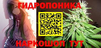 гашик Бузулук