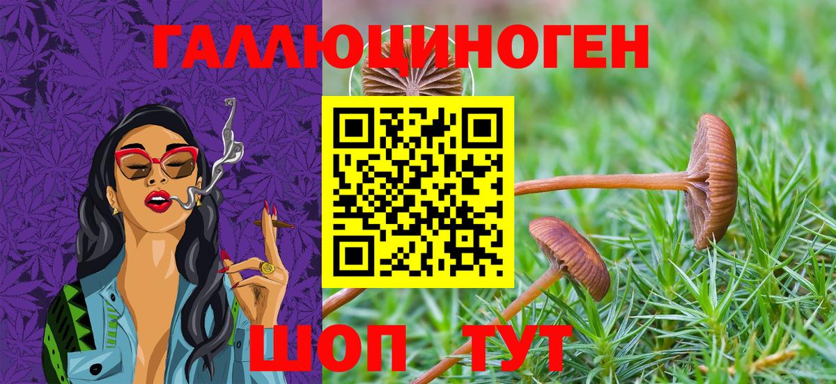 Псилоцибиновые грибы Magic Shrooms  Вход с VPN  Ульяновск 